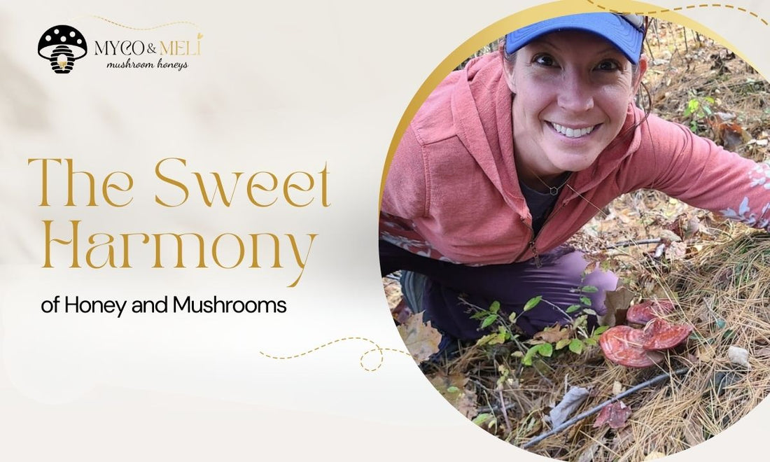 The Sweet Harmony of Honey and Mushrooms