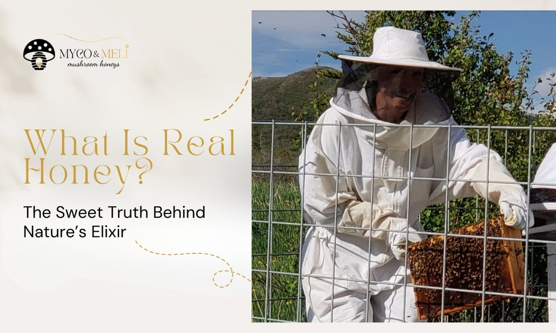 What Is Real Honey? The Sweet Truth Behind Nature’s Elixir